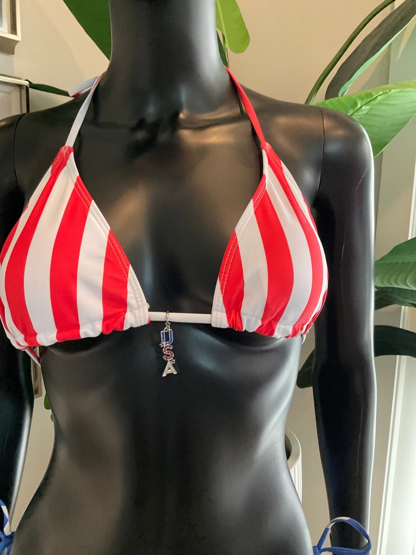 Charming Bikinis Silver USA Charm!