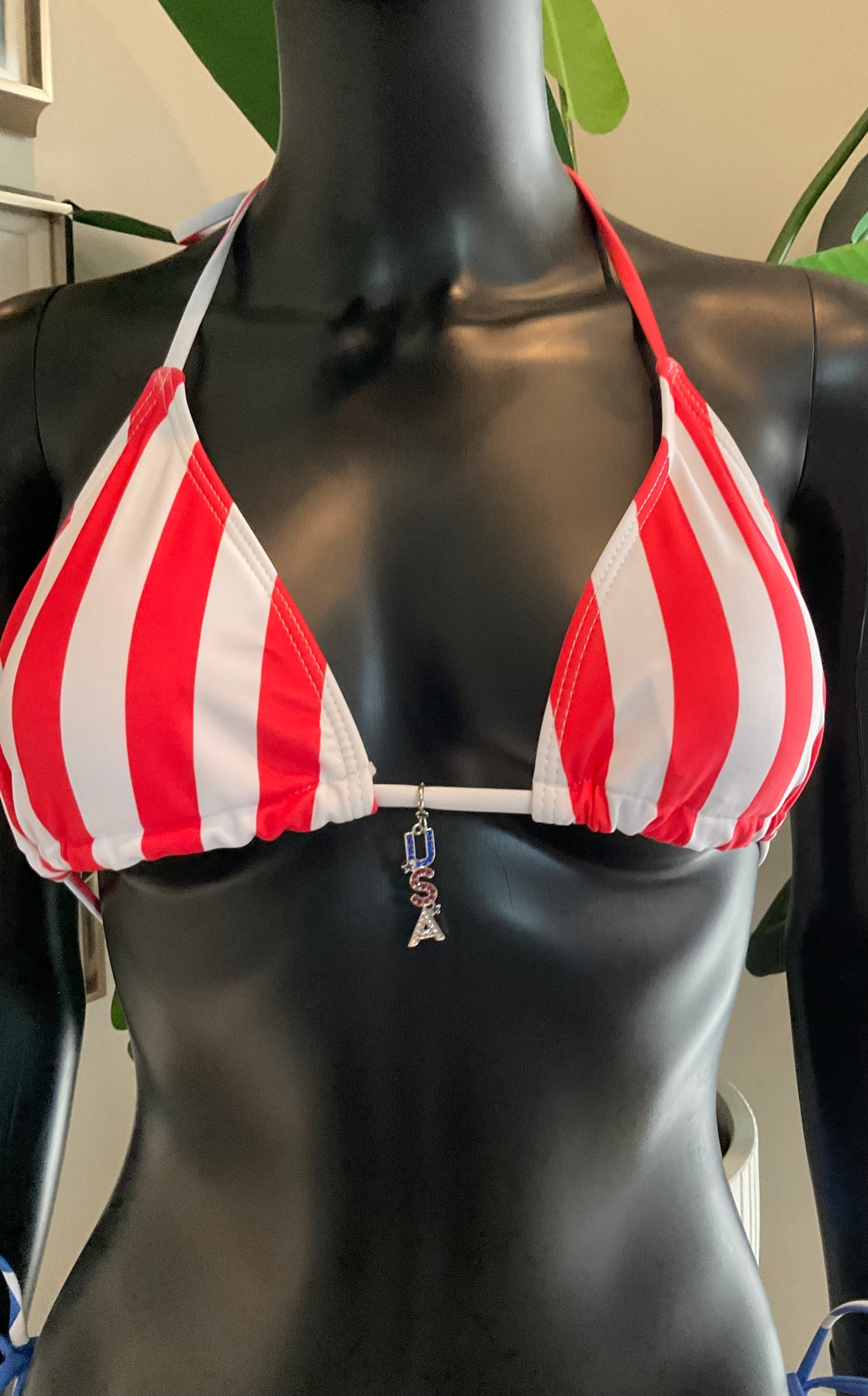 Patriotic Bikini with Charming Bikinis Charms!