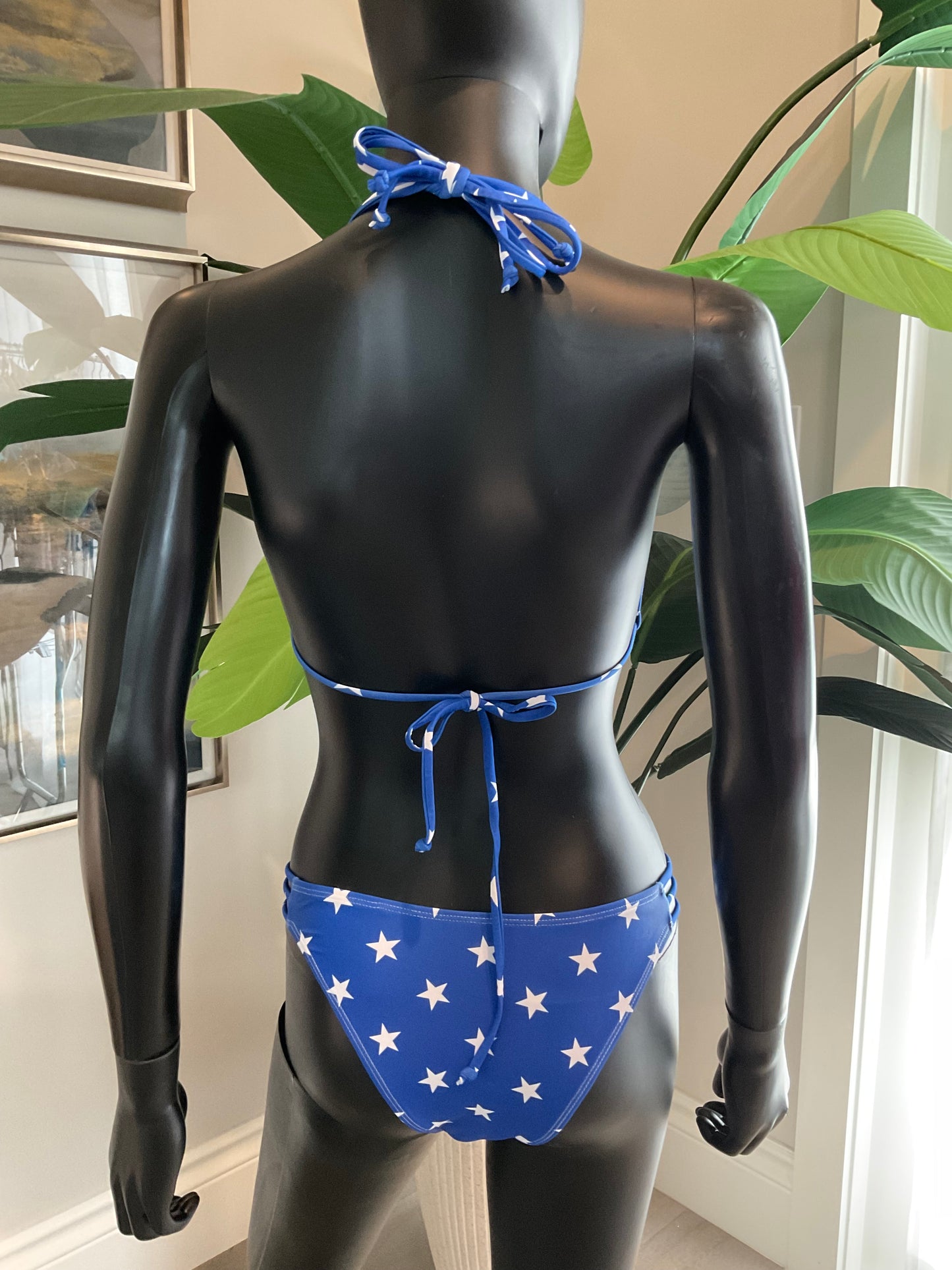 Patriotic Bikini with Charming Bikinis Charms!