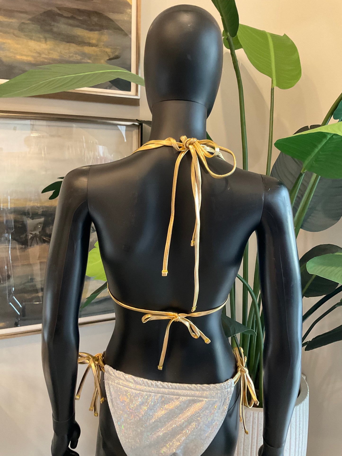 Silver/Gold Trim Bikini with Charming Bikinis Charm!