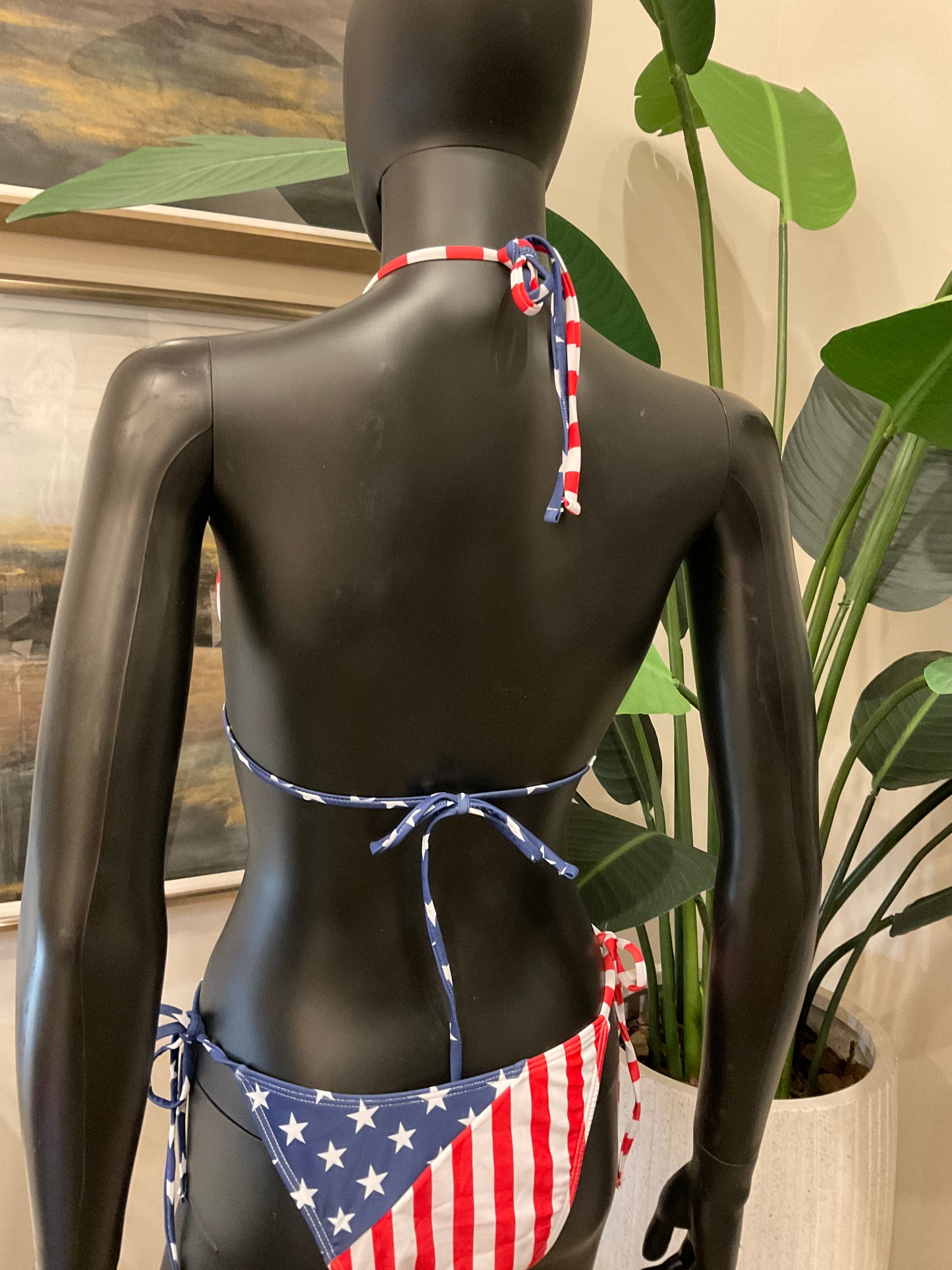 Patriotic Bikini with Charming Bikinis Charms!