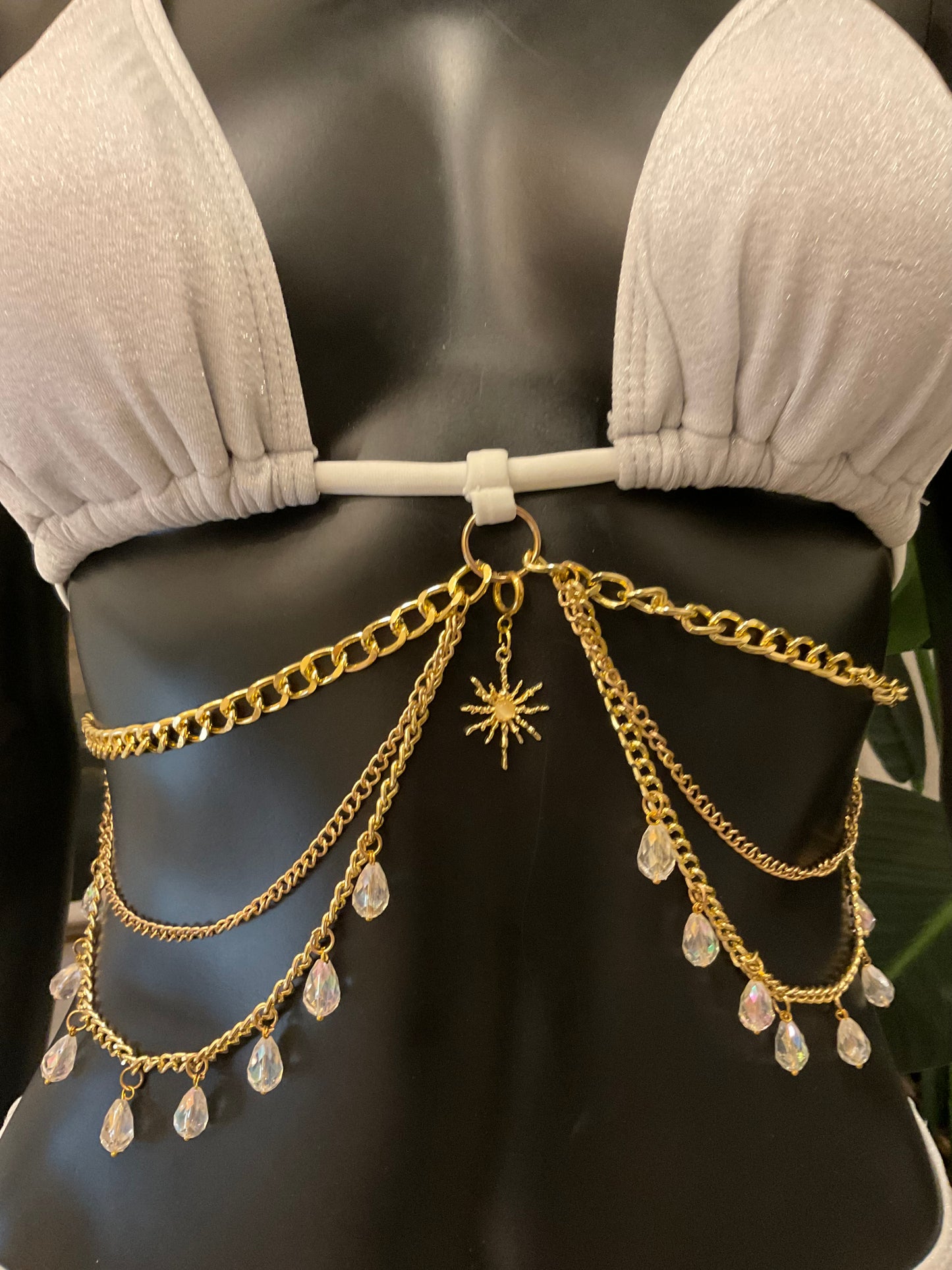 Silver/Gold Bikini with Charming Bikini Charm!