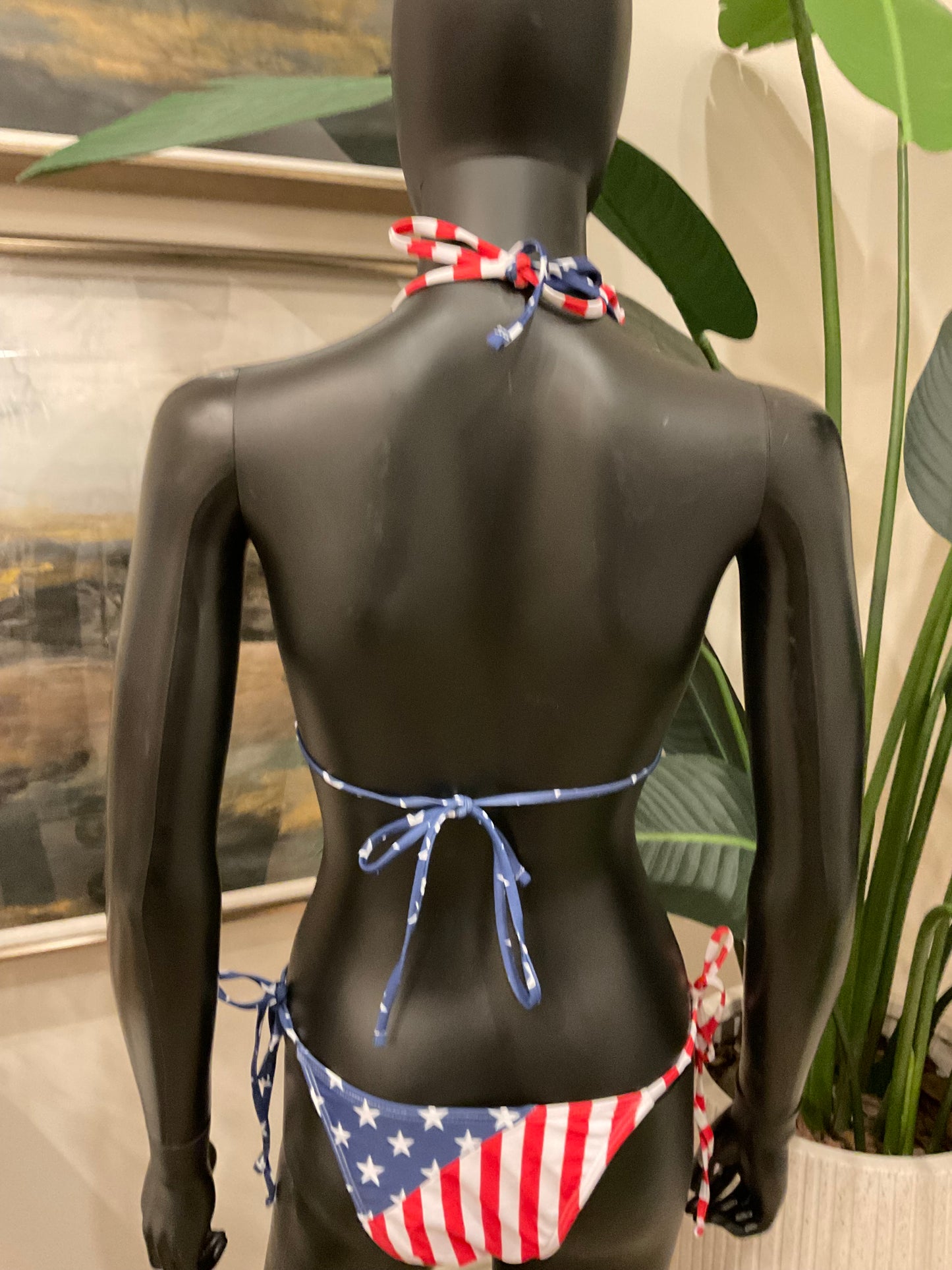 Patriotic Bikini with Charming Bikinis Charms!