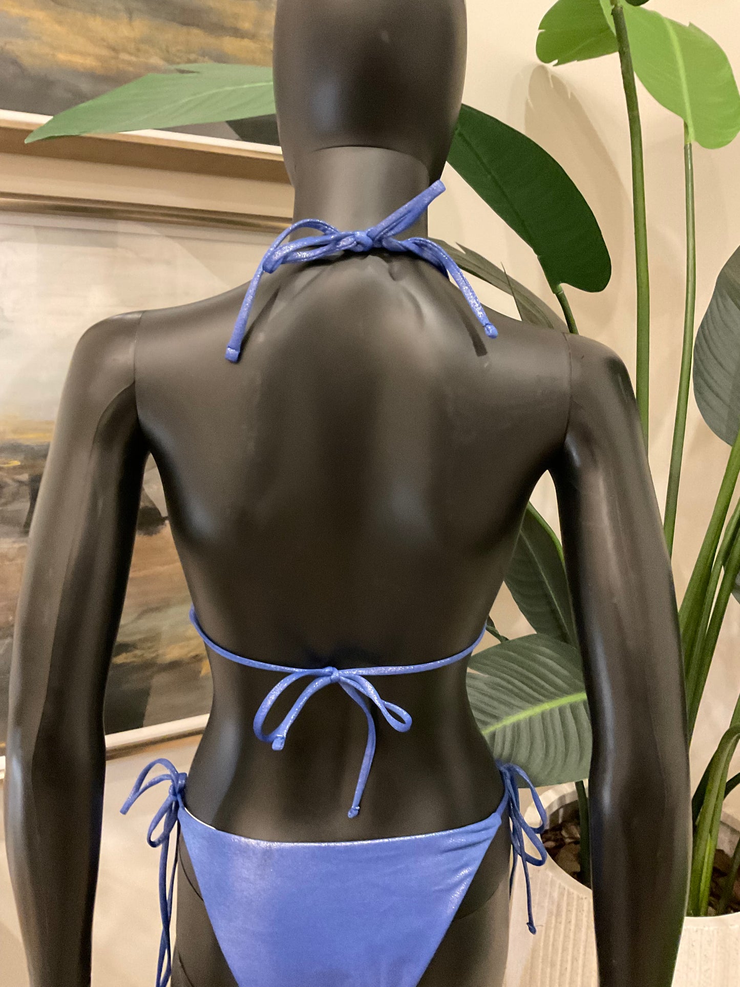 Shimmery Blue Bikini with Charming Bikinis Charm!