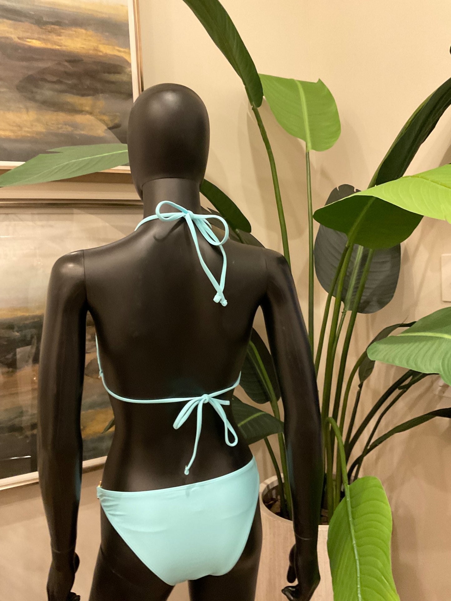Light Blue Bikini with Charming Bikinis Charm!