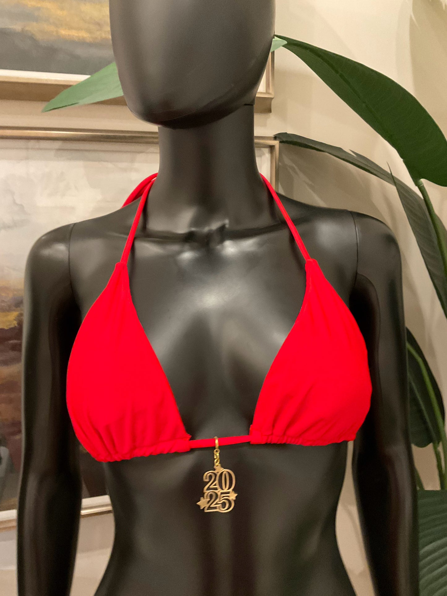 Charming Bikinis Gold 2025 Charm!