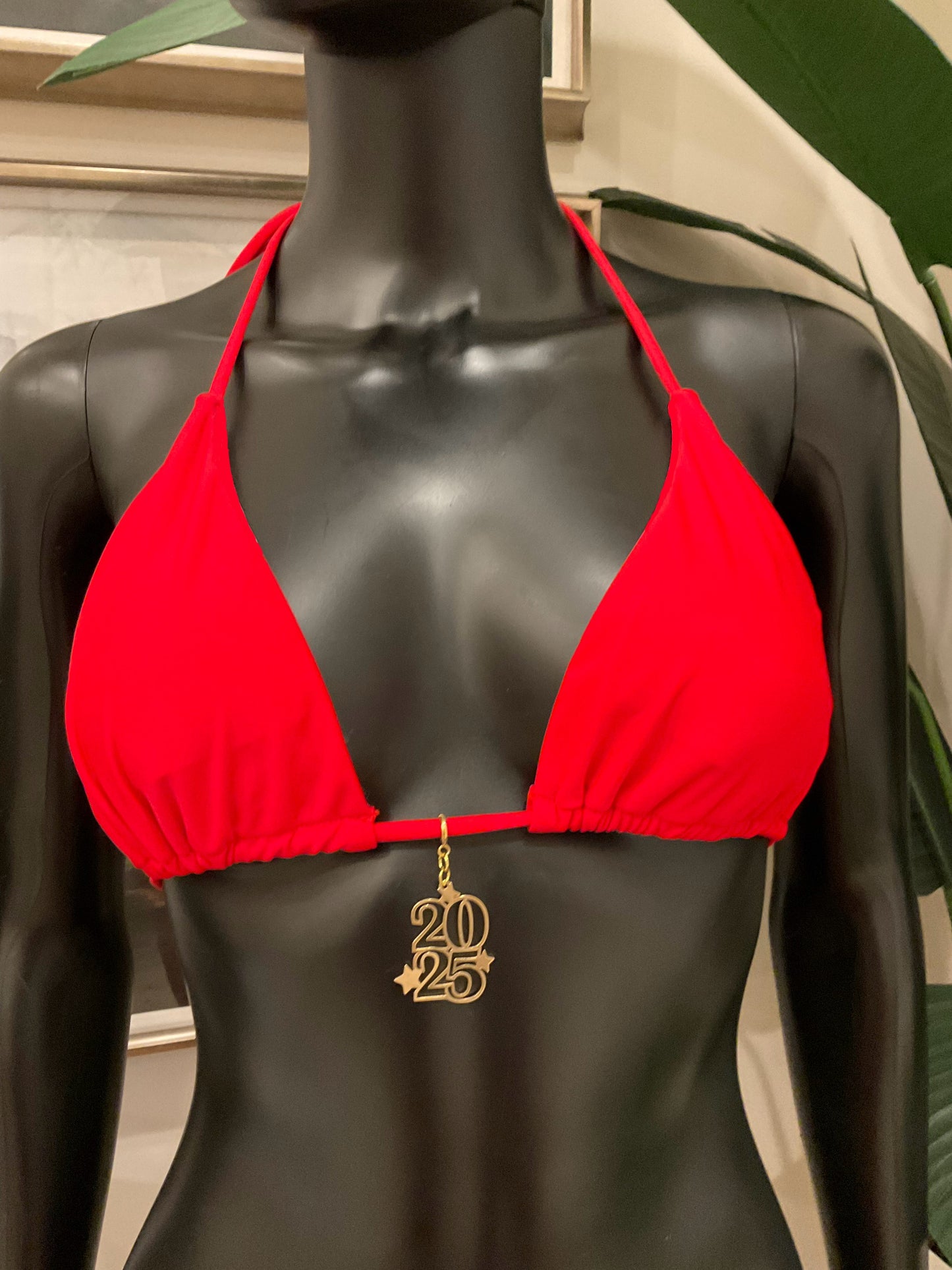 Charming Bikinis Gold 2025 Charm!
