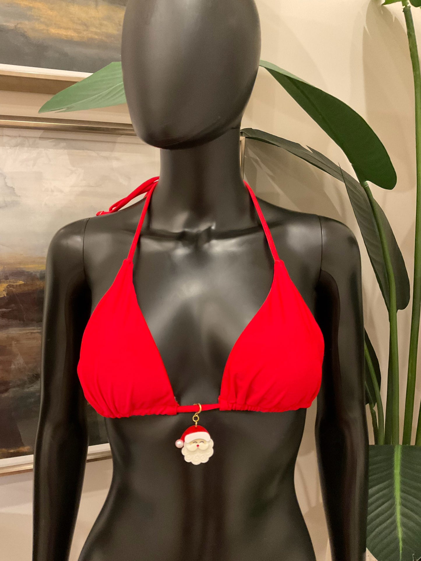 Charming Bikinis Santa Charm!
