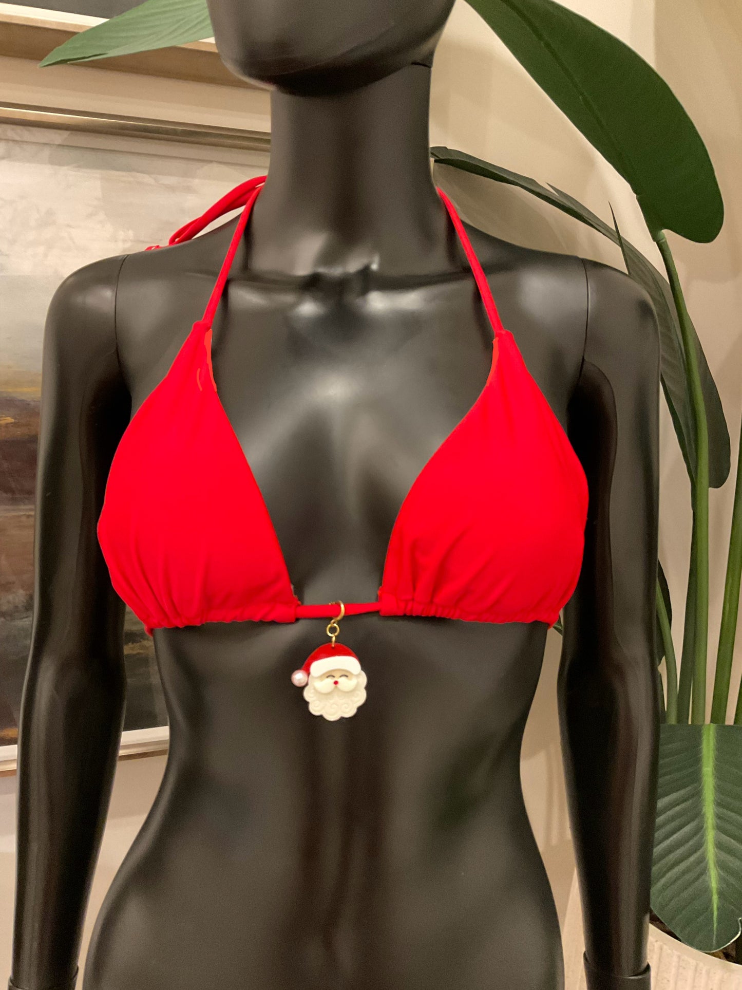 Charming Bikinis Santa Charm!