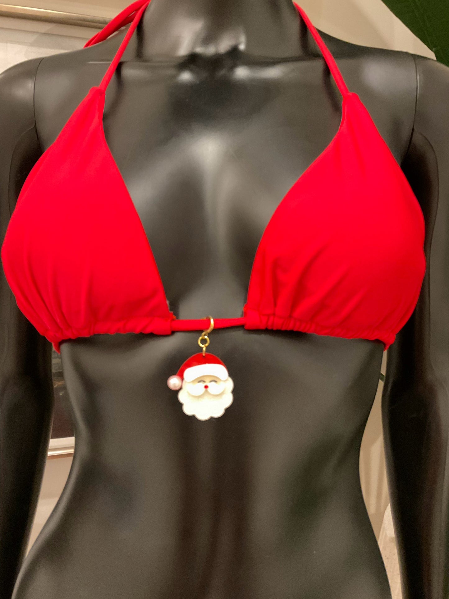 Charming Bikinis Santa Charm!