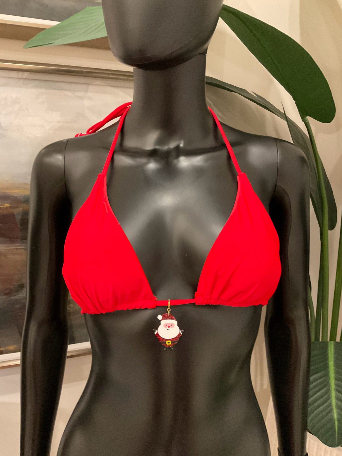 Charming Bikinis Santa Clause is Coming to Town Charm!