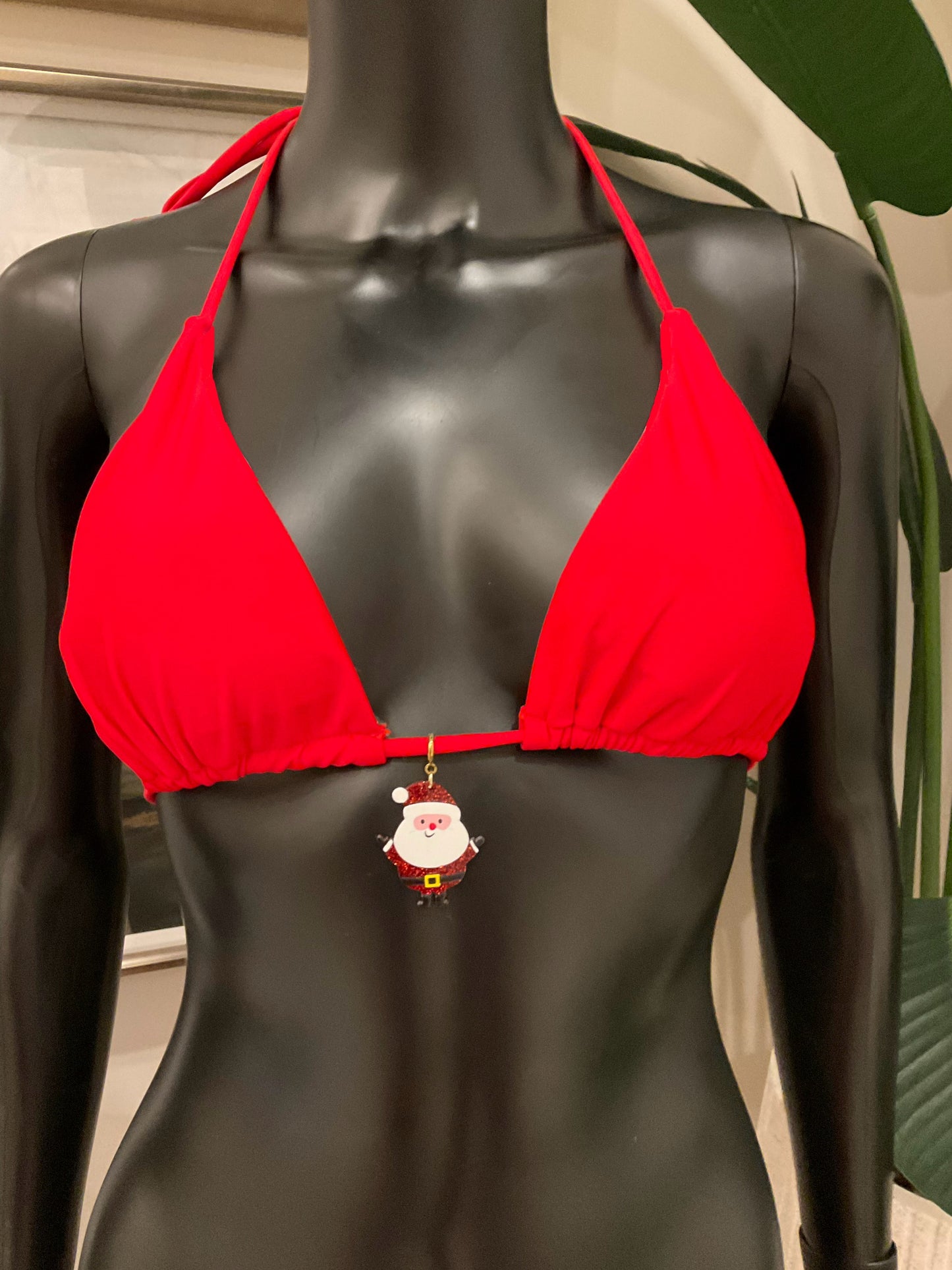 Charming Bikinis Santa Clause is Coming to Town Charm!